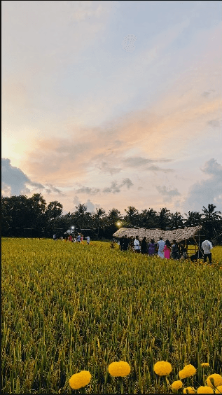 Thamarapadam View Point 2