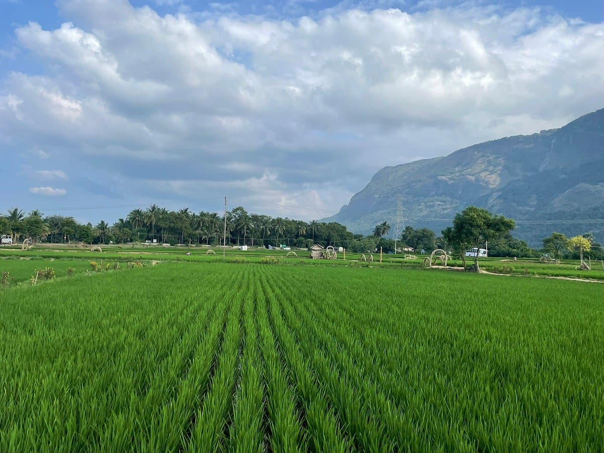 Thamarapadam View Point 4