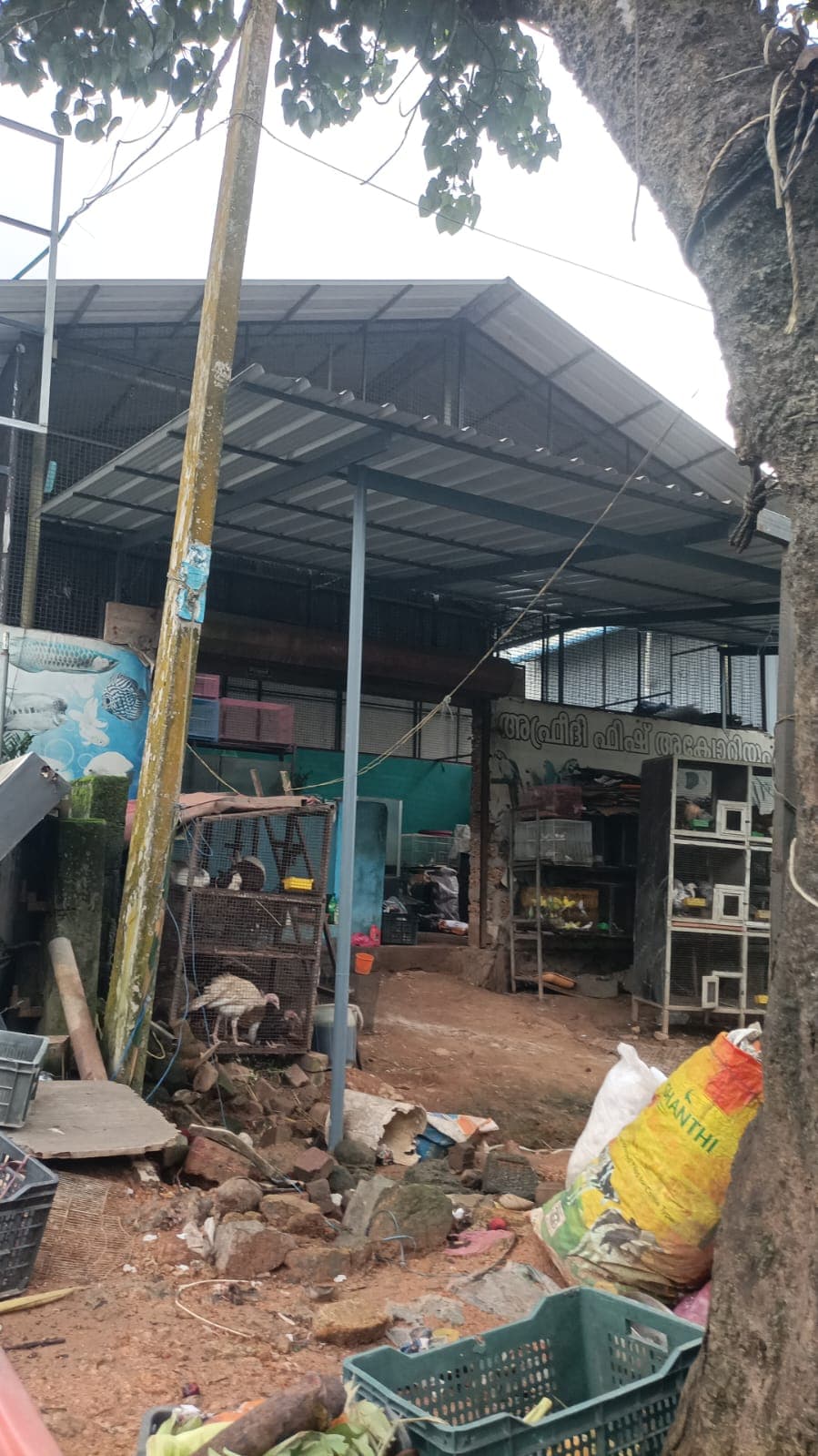 Afrithi fish Aquarium 4