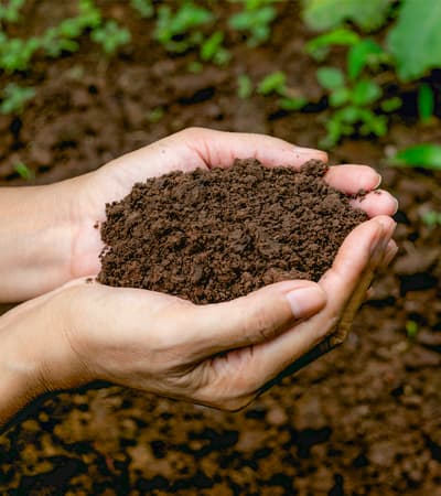 Akshaya Agencies Fertilizer Dealer