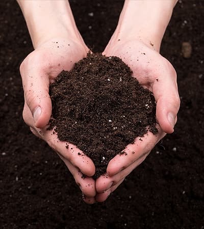 NTL Fertilizers & Chemicals Pvt Ltd 