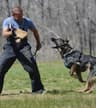 Saajan Saji Cyriac K9 Training School