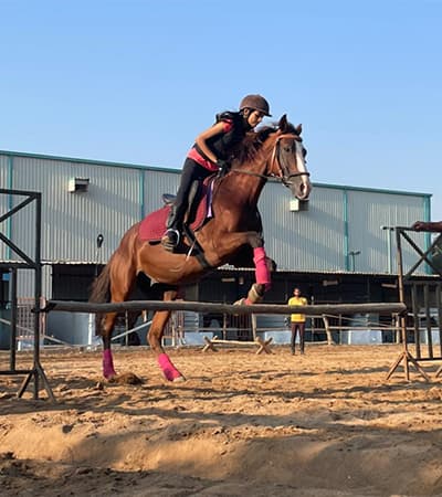 Horse riding hub