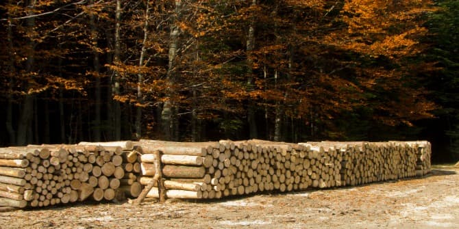 Kala wood Industry