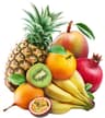 Yi fruits