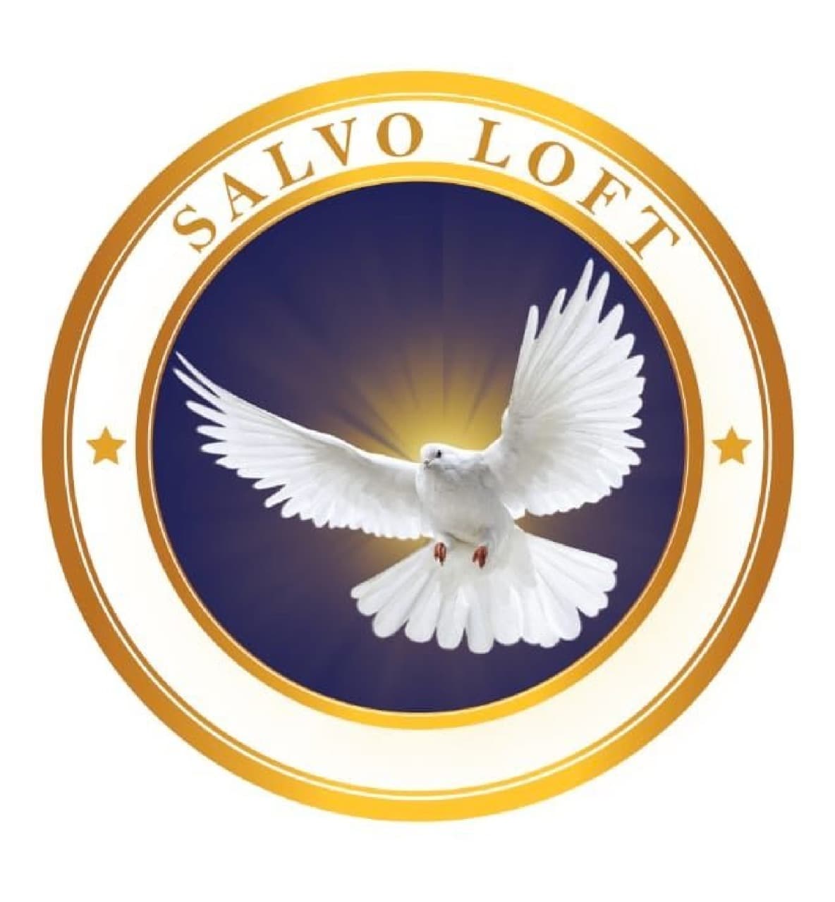 Salvo Loft