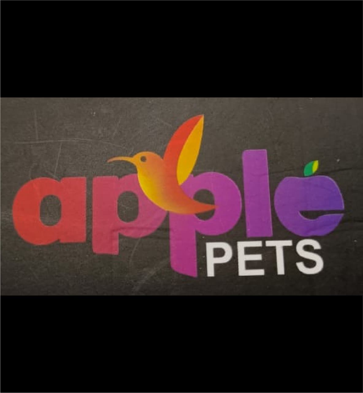 Apple pets