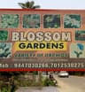 Blossom Garden