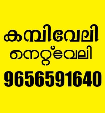 Moosa Fencing Work