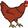 En broiler farm