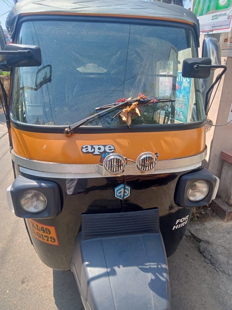 Satheesh Auto Driver