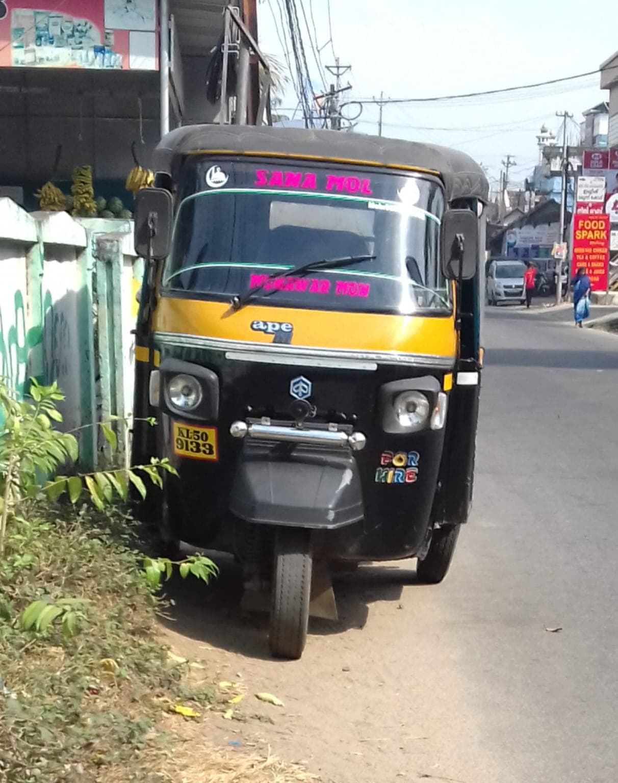 Sana Mol Auto Driver