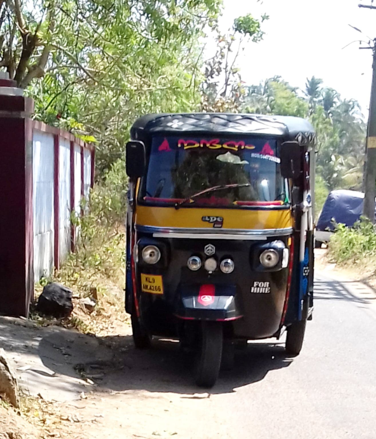 Nandanam Auto Driver