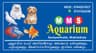 MMS Aquarium And Pet Shop