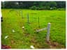 Fazz Fencing Work