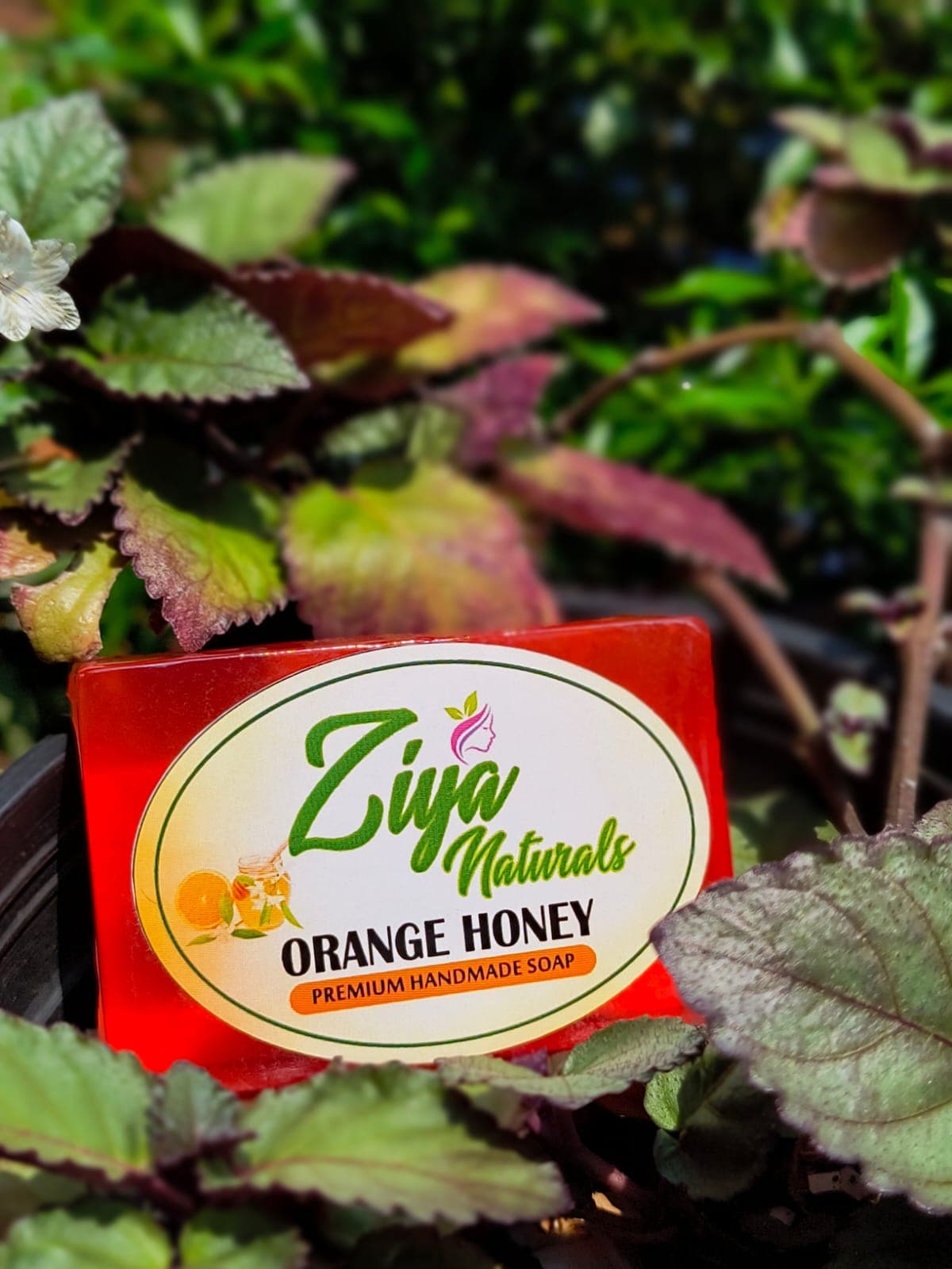 Ziya Naturals