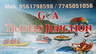 Goa Travels Junction