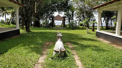 Purity @ Lake Vembanad