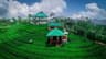 Vagamon Green Hill Estate