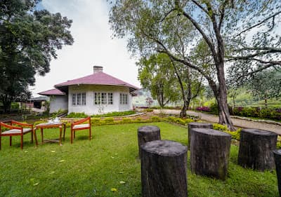 Arivikad Tea Bungalow