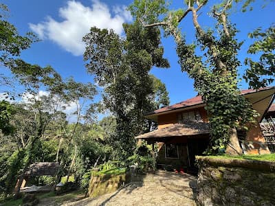 BEYOND ECO LIVING