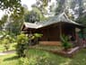 Trogon County