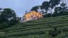 Merosh homes