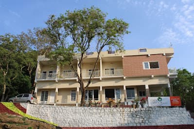 Grey langur Resort Marayoor