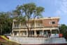 Grey langur Resort Marayoor
