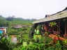 Familycare Homestay 
