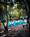 Tent Stay in Munnar