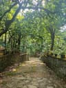 Potizo Resorts and Home Stay