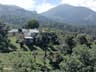 Wayanad Adventures Eco lodging,