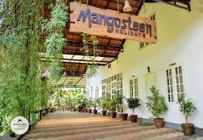 Mangosteen Holidays