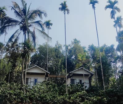 Fogland resort