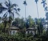 Fogland resort