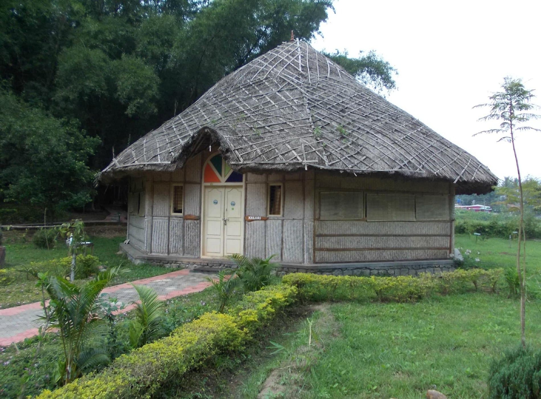Bamboo Grove