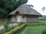 Bamboo Grove