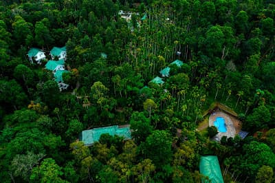 The Woods Resorts