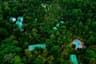 The Woods Resorts