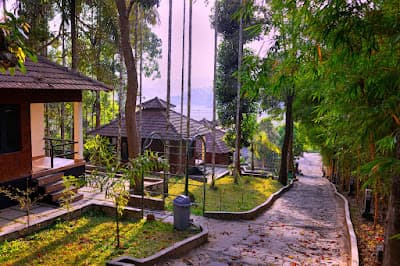Rendezvous Jungle Resort