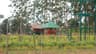 Ammoos farm fresh