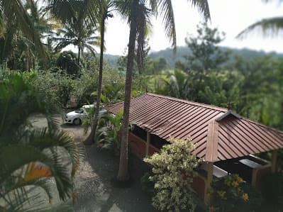 Wayanad Dream Nest