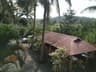 Wayanad Dream Nest