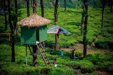 Stingray Tribe Chembra Peak