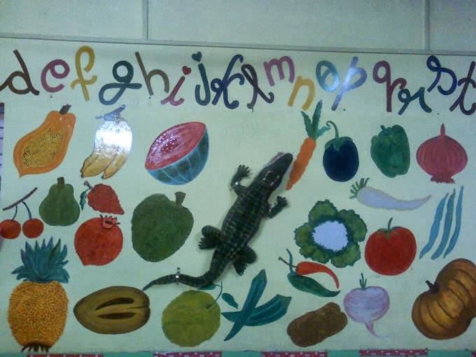 Sri Play Home & Creche