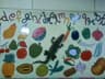 Sri Play Home & Creche