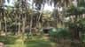 Gotheeshwaram Beach Restaurant