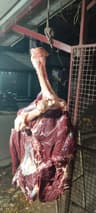 CM Beef Center