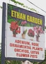 Ethan Garden